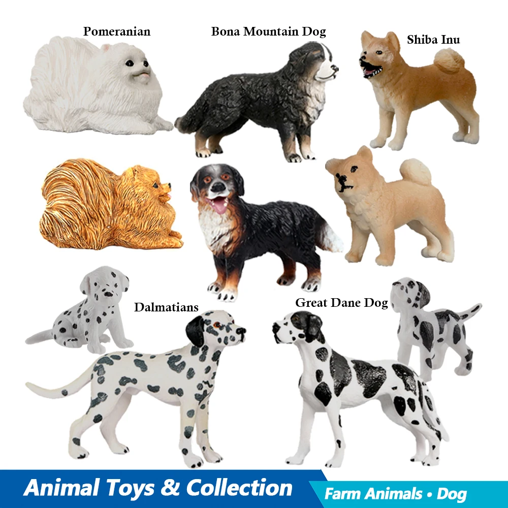 Labrador pudel Rottweiler Bona – Kids Toys Under 100 recenzja i cena